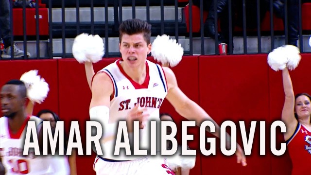 Amar Alibegovic: Player Profile